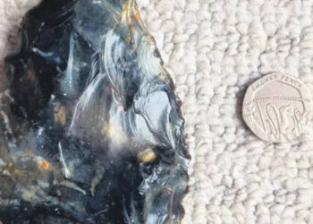 6 Yaşındaki Çocuk Neandertal Baltası Buldu