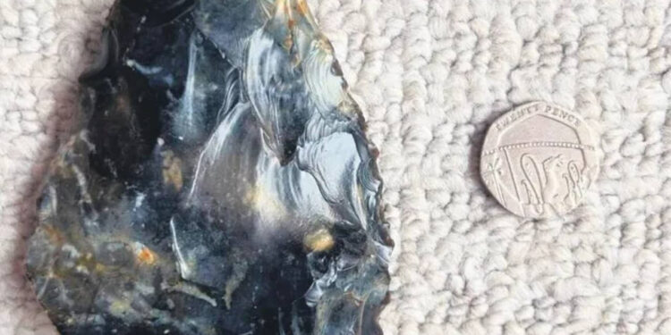 6 Yaşındaki Çocuk Neandertal Baltası Buldu