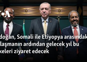 Erdoğan, Somali ile Etiyopya arasındaki anlaşmanın ardından gelecek yıl bu ülkeleri ziyaret edecek