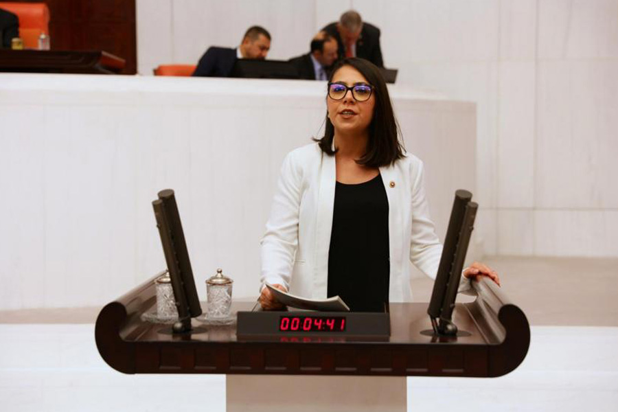 AKP’li Sibel Söylemez’e ‘şerefsiz’ demişti: TİP’li Sera Kadıgil’e uyarı cezası verildi