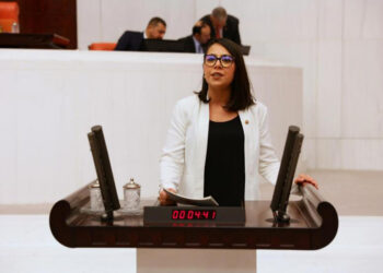 AKP’li Sibel Söylemez’e ‘şerefsiz’ demişti: TİP’li Sera Kadıgil’e uyarı cezası verildi