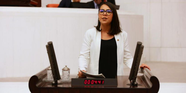 AKP’li Sibel Söylemez’e ‘şerefsiz’ demişti: TİP’li Sera Kadıgil’e uyarı cezası verildi