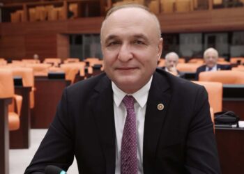 AKP’nin rant politikalarına karşı ormanlarımızı savunuyoruz!