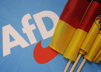 AfD'nin Almanya'yı AB'den çıkarma vaadi: Dexit