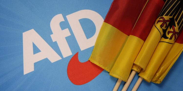 AfD'nin Almanya'yı AB'den çıkarma vaadi: Dexit
