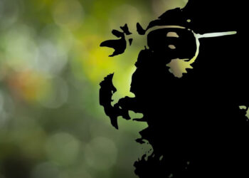 Ağaçlarla evlenenler diyarında bir ‘ikinci bahar’