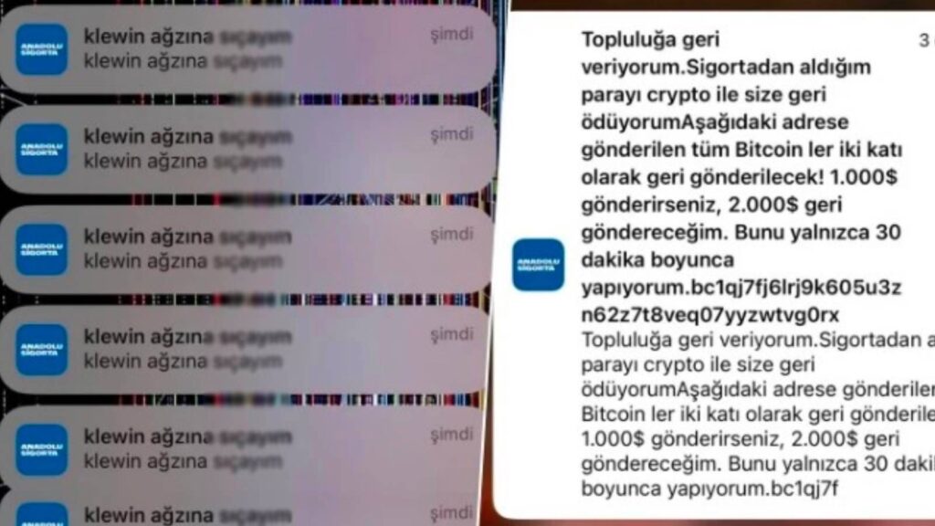 Anadolu Sigorta hacklendi: Kullanıcılarına küfürlü mesajlar geliyor