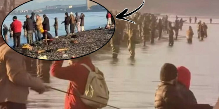 Artvin'den Kaçtı, Gürcüler Akın Etti! Sıraya Girip, Resmen Yarıştılar