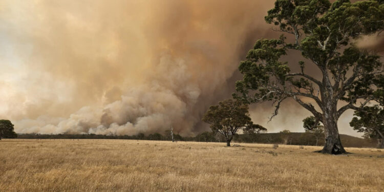 Avustralya'da Orman Yangınları Kontrolden Çıktı! Bazı Kasabalar Tahliye Edildi, Söndürmek İçin 600 İtfaiyeci Çalışıyor