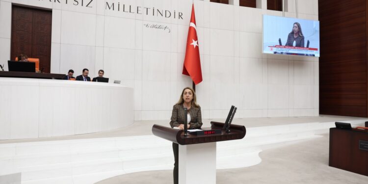 Aydeniz: Saldırılar, Kürt halkına yönelik uluslararası boyut kazanan tehditlerdir