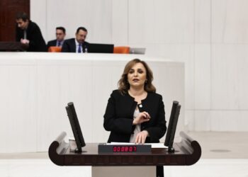 Ayşegül Doğan: Gelin tarihi fırsatı değerlendirelim