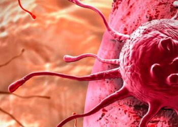 Bakanlık, "kanserojen" 10 ürünü piyasadan toplatıyor