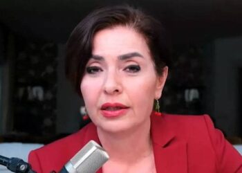 Basın Konseyi'nden Özlem Gürses'e destek: Gazetecilik suç değildir