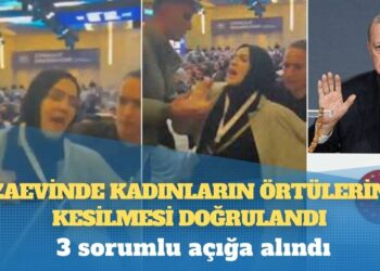 Büyük GDO skandalı: Rusya ve Ukrayna’dan gelen mısır ve kanola sahte belge düzenlenerek ülkeye sokuldu