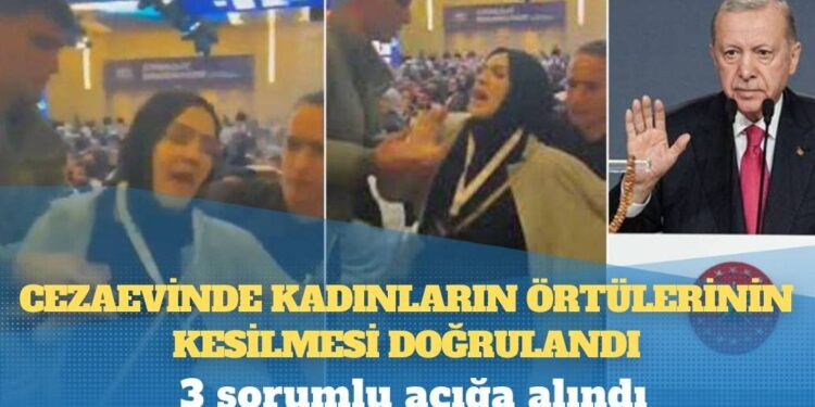 Büyük GDO skandalı: Rusya ve Ukrayna’dan gelen mısır ve kanola sahte belge düzenlenerek ülkeye sokuldu