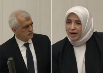 Çıplak aramayı inkâr eden AKP’li Özlem Zengin, Meclis’te Gergerlioğlu’na küfretti