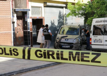 Diyarbakır'da Kadın Cinayeti: Annesini Kalbinden Vurarak Öldürdü