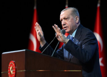 Erdoğan: ”Ufkumuzu 782 bin kilometrekareye sınırlandıramayız”
