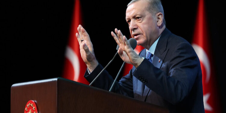 Erdoğan: ”Ufkumuzu 782 bin kilometrekareye sınırlandıramayız”