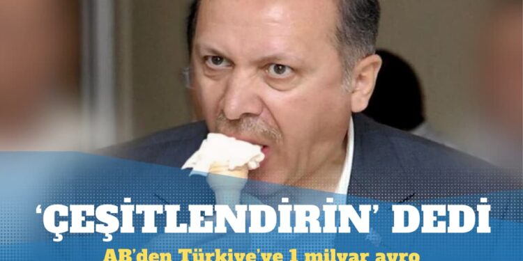 Erdoğan ‘çeşitlendirin’ dedi: AB’den Türkiye’ye 1 milyar avroluk yeni Suriye fonu