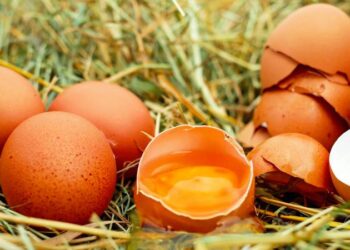 Esnaf, emeklinin durumunu anlattı: Kırık yumurta soruyorlar