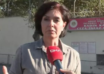 Gazeteci Özlem Gürses gözaltına alındı