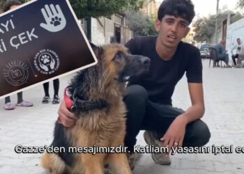 Gazzelilerin Türkiye'ye 'Yasayı Geri Çek' Çağrısı Yeniden Gündemde: Katliam Yasası ve Mamak'ın Ardından...