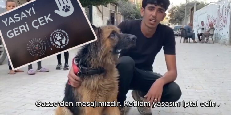 Gazzelilerin Türkiye'ye 'Yasayı Geri Çek' Çağrısı Yeniden Gündemde: Katliam Yasası ve Mamak'ın Ardından...