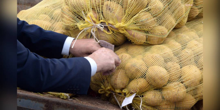Gelecek seneye bir daha tövbe, yapmayacağım!