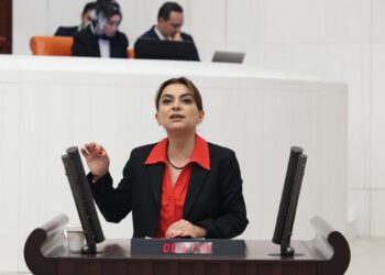 Gülistan Kılıç Koçyiğit:  Türk bayrağı, 'terör örgütü' denilen HTŞ'nin elinde