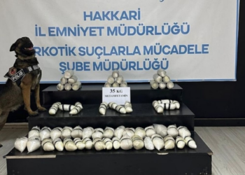 Hakkari'de bu yıl 769 kilo 839 gram uyuşturucu ele geçirildi