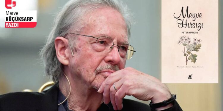 Handke'den yavaşlığa dair bir roman