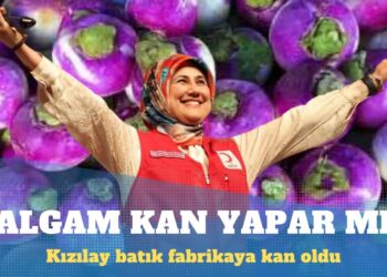 Hep satmıyor aldığı da oluyor: Kızılay 10 milyon avroya atıl durumdaki şalgam suyu fabrikasını aldı