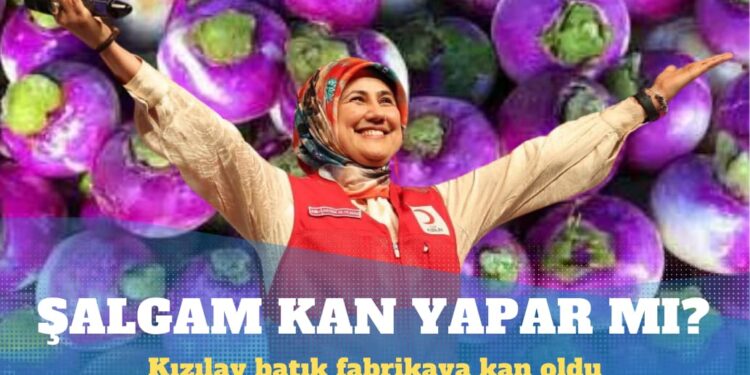 Hep satmıyor aldığı da oluyor: Kızılay 10 milyon avroya atıl durumdaki şalgam suyu fabrikasını aldı