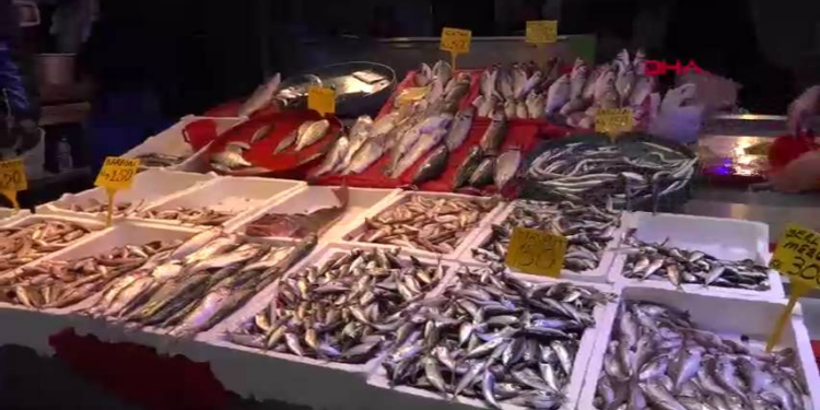 Karadeniz'de hamsi göçüyor, palamut bereketi sürüyor