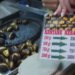 Kestanenin de tadı kaçtı; kilosu 1.000 TL’ye çıktı!