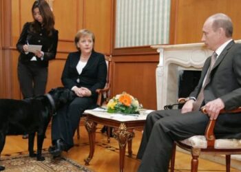 Merkel: Putin köpeklerden korktuğumu biliyordu