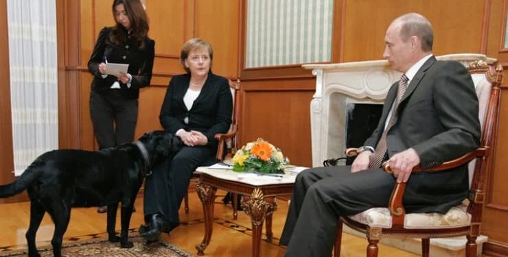 Merkel: Putin köpeklerden korktuğumu biliyordu