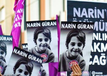 Narin davası henüz bitmedi, daha yeni başlıyor