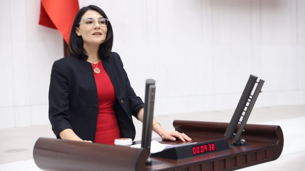 Necla Demir: Türkiye saman ithal eder duruma geldi