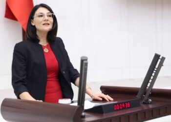 Necla Demir: Türkiye saman ithal eder duruma geldi