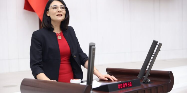 Necla Demir: Türkiye saman ithal eder duruma geldi