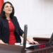 Necla Demir: Türkiye saman ithal eder duruma geldi