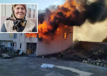 Ordu’da yangın: 94 yaşında kadın hayatını kaybetti; 3 evde ağır hasar oluştu