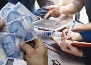 Paraya Para Demiyorlar... TÜİK Açıkladı: İşte Türkiye'de En Çok Kazandıran Meslekler