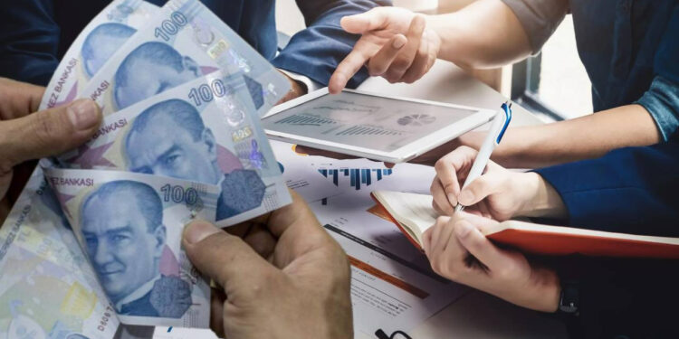 Paraya Para Demiyorlar... TÜİK Açıkladı: İşte Türkiye'de En Çok Kazandıran Meslekler