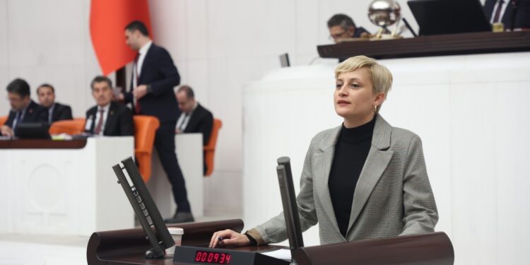 Perihan Koca Doğan: Sarayda günlük 46 milyon lira harcanacak