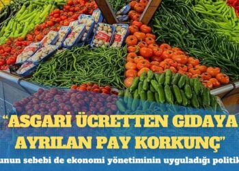 Prof. Dr. Emre Alkin: Asgari ücretten gıdaya ayrılan pay korkunç