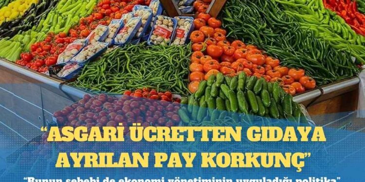 Prof. Dr. Emre Alkin: Asgari ücretten gıdaya ayrılan pay korkunç