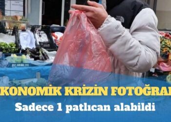 Ekonomik krizin fotoğrafı: Sadece 1 patlıcan alabildi